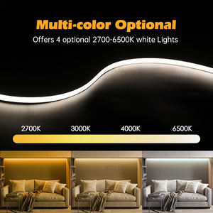 Ra90 DC24V 16.4ft แบบม้วนยาว5เมตร6*6มม. 25มม. หลอดนีออนซิลิโคนยืดหยุ่นแถบไฟนีออน LED นีออนสำหรับตกแต่งกลางแจ้งในร่ม - Product Image 2