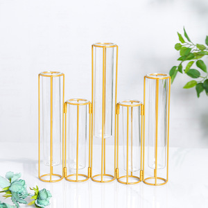 Soportes Metálicos para Flores, Macetas Hidropónicas con Tubos Transparentes, Decoración para Interiores, Venta Caliente - Product Image 5