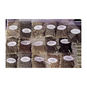 Pampas Grass L21 Ritual Herbal Spell Collection Dried Flowers Bouquet New Year Decor Natural Flower,natural Mother's Day