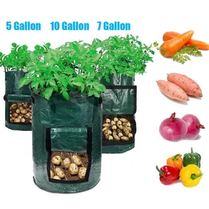 3/5/7/10加仑户外花园盆Pe马铃薯种植袋带手柄加厚蔬菜洋葱植物可重复使用的种植袋