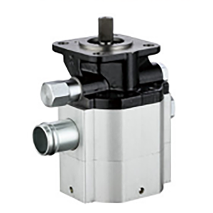 Pompes de fendeuse de bûches agricoles 2.5/20/21 Mpa Vitesse de rotation la plus élevée dans le sens des aiguilles d'une montre 3600r/min Pompes hydrauliques à vendre - Product Image 1