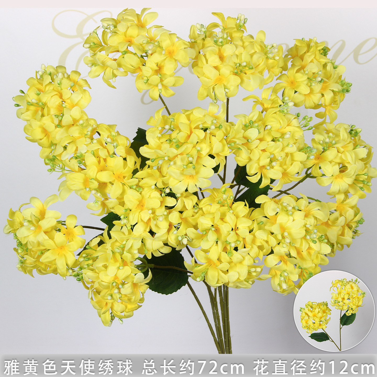 Élégant hortensia jaune à deux têtes en forme d'ange.