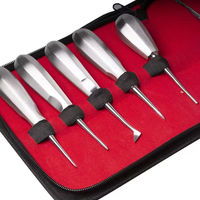 Kit d'extraction radiculaire pour dents de dentiste, instrument chirurgical, en acier inoxydable, 13 pièces