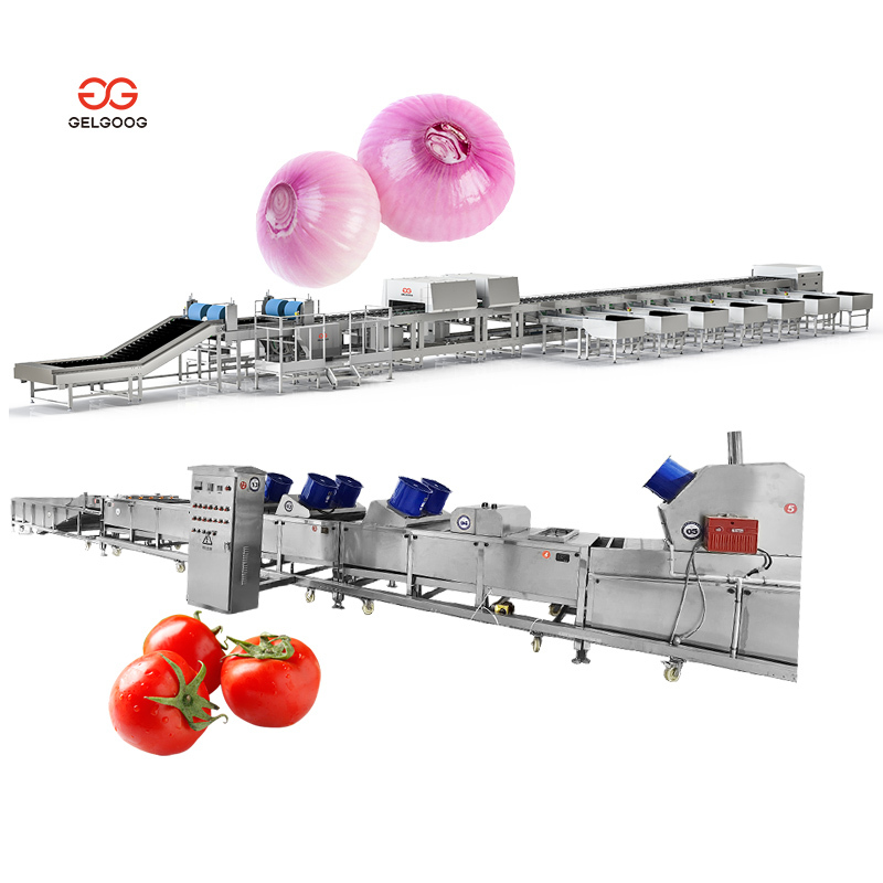 Hot Selling Fresh Garlic Root and
