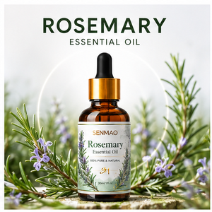 <span class=keywords><strong>Huile</strong></span> <span class=keywords><strong>essentielle</strong></span> de <span class=keywords><strong>romarin</strong></span> naturelle : Améliore la mémoire et soulage la fatigue ; Convient pour la diffusion en aromathérapie. - Product Image 1