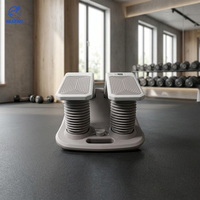 GLEEKO Fujian Mini Elliptique de Fitness avec Système à Tubes d'Air, Matériaux ABS, Capacité 120kg, Réglage Fin Infini pour la Maison