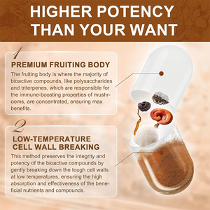 Ekstrak Jamur Super Organik Vegan Lion Mane Turkey Tail Maitake Reishi Shiitake 14 in 1 Kompleks Kapsul Suplemen Kesehatan - Product Image 4