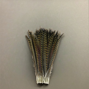 Plumas de Cola de Faisán Reeves 35-40cm Naturales para Manualidades, Decoración del Hogar y Disfraces de Carnaval - Product Image 1