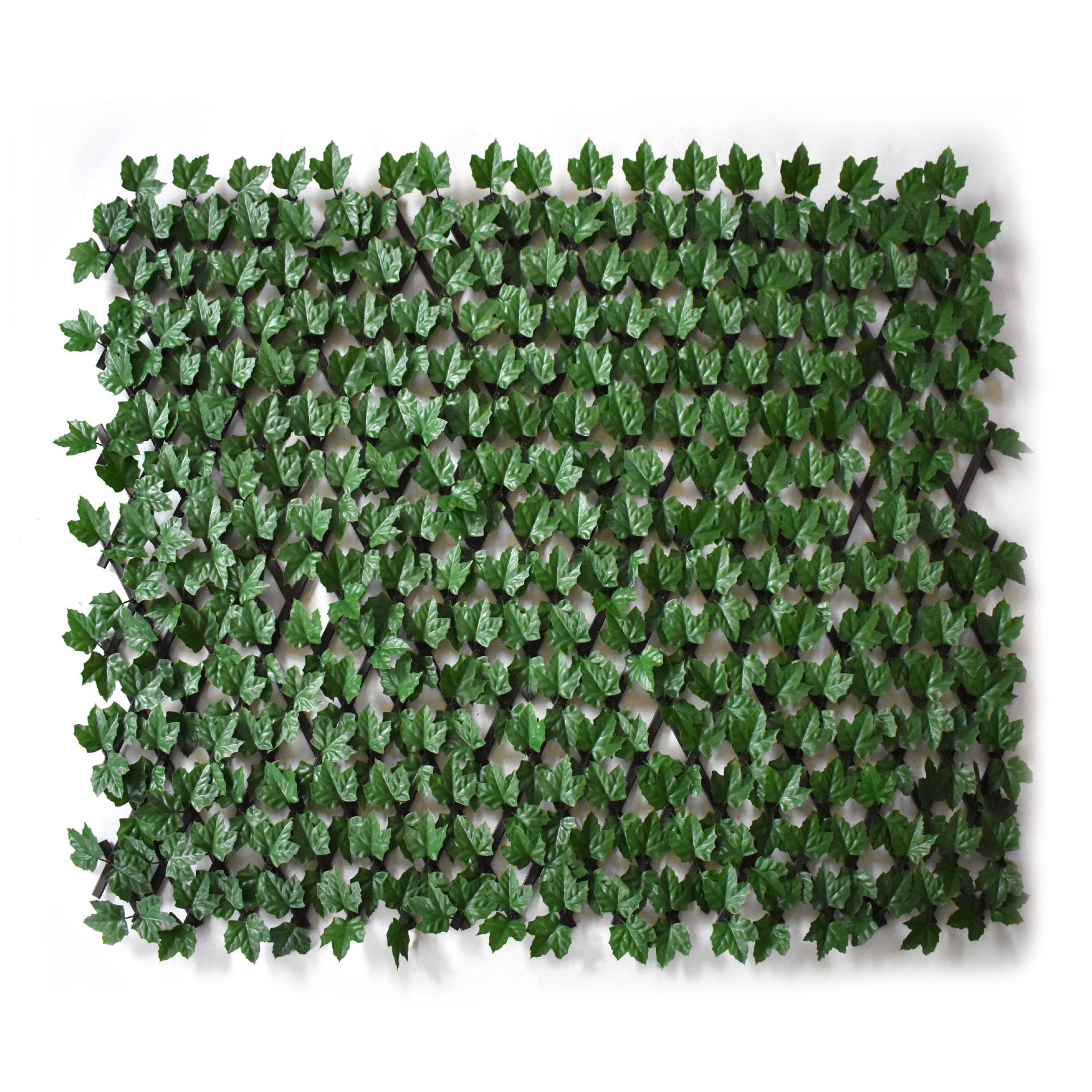 Valla de hoja de arce