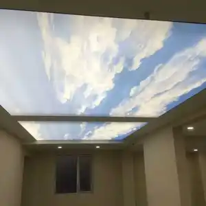 Dekoratif malzemeler için toptan beyaz yumuşak PVC gergi tavan Film