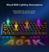 Blue Switch Gaming Keyboard 60% Compact 61 Keys PBT Material USB Type-C Wired Rainbow Backlit Mechanical Keyboard for Desktop