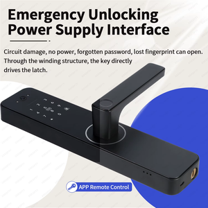 Tuya Ứng Dụng Thông Minh Nhôm Cao An Ninh Vân Tay RFID Thẻ Mặt Công Nhận Key Lỗ Mộng 5050 Mèo Mắt Tất Cả Các Kết Nối Qua Wifi - Product Image 5