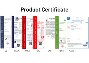 ZHYQ ATEX Сертифицированный передатчик давления 4-20 мА для машинного строительства для измерения давления насосов и компрессоров - Product Image 5