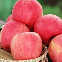 Goede leverancier verse Fuji appels exportprijs doos zoete smaak graad 1 maat 6cm 20kg oorsprong Shandong
