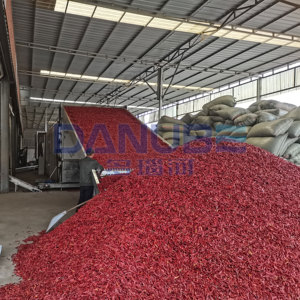 Professional Mesh Belt Chili Dryer Machine Dried Chili Production Line Chili <b>Drying</b> <b>Equipment</b> - Product Image 3
