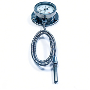 WTZ 280 <span class=keywords><strong>Thermometer</strong></span> Nanyang Huaye Zhang Heng - Product Image 1