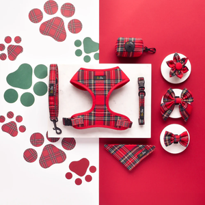 SinSky Individuelles Hundegeschirr-Set – Designer-Luxus-Set mit Verstellbarer Leine, Halsband, Kotbeutel, Halstuch und Personalisiertem Zubehör für Welpen und Hunde - Product Image 4