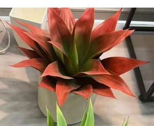 Planta Artificial de Agave/Aloe <span class=keywords><strong>en</strong></span> Maceta, Plástico de Calidad con Tacto Natural, Planta Falsa Tipo Bonsái <span class=keywords><strong>en</strong></span> Oferta para Decoración de Jardín, <span class=keywords><strong>en</strong></span> Maceta, al por Mayor - Product Image 6