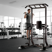Equipo de Fitness Multifuncional para Interiores: Barra Horizontal, Estación de Dominadas y Flexiones, Torre de Ejercicios para el Hogar 2026