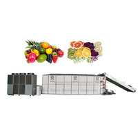 Plantaardige Droogapparatuur Vijg Kokosnoot Fruit Drogen Productielijn 300 Kg/u Doorlopende Band Droger Machine