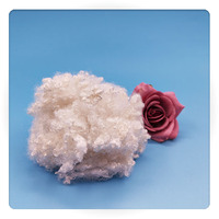 China Supplie Virgin High Quality Hot Sale Stable Fiber for Textile Industry Regenerated Hollow Conjugated 10 Holes Fiber