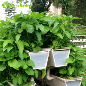 Système de plantation de plateaux de fraises de <span class=keywords><strong>gouttière</strong></span> hydroponique en plastique <span class=keywords><strong>PVC</strong></span> - Product Image 3