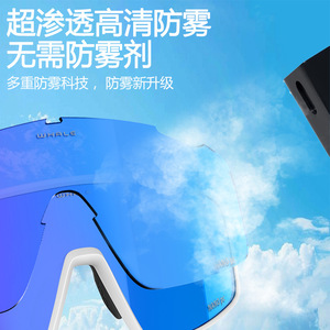 Gafas de Ciclismo Fotocromáticas Whale R9, Marco de Plástico, Antideslizantes, Gafas Deportivas para Exteriores, Modelo Masculino YDJ900 - Product Image 4