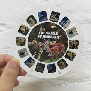 Cá Nhân 3D Trượt Người Xem Đồ Chơi Cho Trẻ Em Khoa Học Giáo Dục Tùy Chỉnh Reels Nhựa Xem Thạc Sĩ Cpc Chứng Nhận Món Quà Cưới - Product Image 6