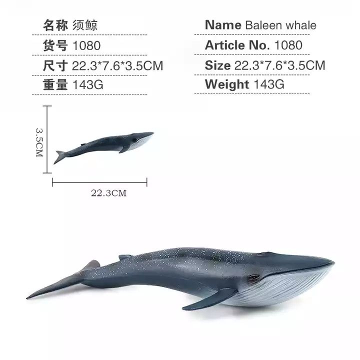 1080/Baleine à baleines