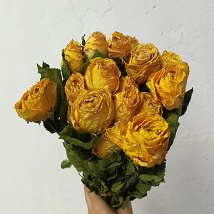 Bouquet di <span class=keywords><strong>Rose</strong></span> Secche Naturali di Grado A all'Ingrosso per Decorazione Casa e Matrimoni - Product Image 5