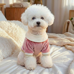 Camiseta Polo de Terciopelo con Estampado de Corazón para Perros Pequeños y Cachorros de PETCIRCLE, Cómoda para Primavera y Otoño - Product Image 3