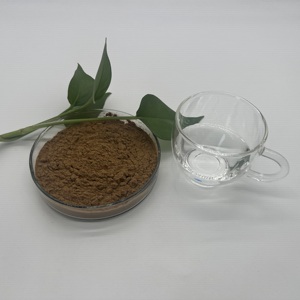 Polvo de Extracto de Hongo Chanterelle (Cantarina) al por Mayor, Polisacárido al 50% - Product Image 5