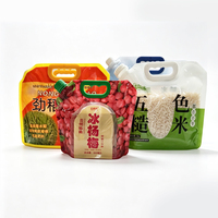 Pochette souple à bec verseur de 500 ml pour jus de fruits, pochette souple à bec verseur autoportante, pochette en plastique laminé personnalisée imprimée pour liquides et confitures