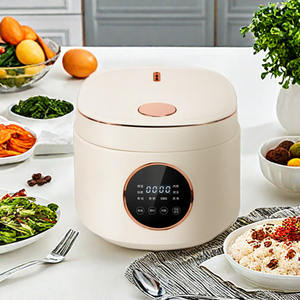 Aparatos eléctricos a la venta <span class=keywords><strong>Olla</strong></span> <span class=keywords><strong>arrocera</strong></span> portátil Temporizador digital Ollas arroceras Bajo en azúcar <span class=keywords><strong>Olla</strong></span> <span class=keywords><strong>arrocera</strong></span> pequeña aromática Stock - Product Image 1