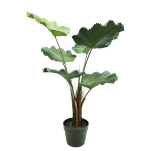 ポット付き80cmの高い人工的な丸いヤシの木 - Product Image 1