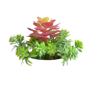 Multiprise électrique ignifuge et écologique Plant PD 5V/3A & 9V/2A 20W avec prises USB Type-C pour une charge rapide - Product Image 4