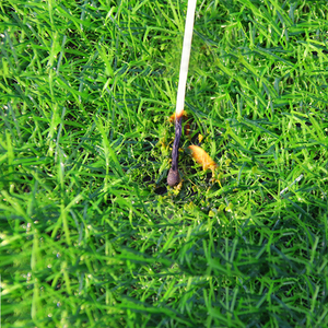 Danh sách mới cao leling taishan nhân tạo Turf indu cỏ tổng hợp cho các lĩnh vực bóng đá - Product Image 2