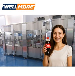 Có ga nước giải khát uống Máy làm Chai PET CSD điền dây chuyền sản xuất Soda nước đóng chai máy - Product Image 4