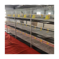 Poulailler à 3 étages galvanisé à chaud cage pour poulets de chair équipement de ferme avicole cages à batterie pour poulets de chair
