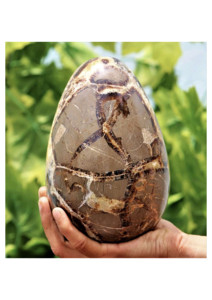 Polished Septarian Jasper Egg <b>Crystal</b> Egg On Wooden Stand Home Decoration Feng Shui Collectible - Product Image 2