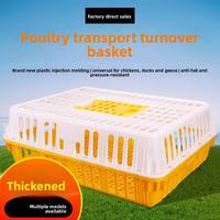 Cage de transport pour volailles vivantes, boîte de manutention pour poussins, caisse de transport en plastique pour élevages de canards et de poulets – Fournisseur chinois