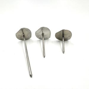 तेजी से अनुकूलित स्टेनलेस स्टील राउंड सिर नाखून वेल्डिंग बंदूक फिक्स्ड ग्लास फाइबर इन्सुलेशन कॉटोनडर्ड लाइनर सिस्टम स्टड - Product Image 2