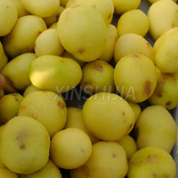 Chine Petit commercial industriel automatique doux irlandais Taro peau de pomme de terre enlevant le nettoyage Machine à laver et à éplucher