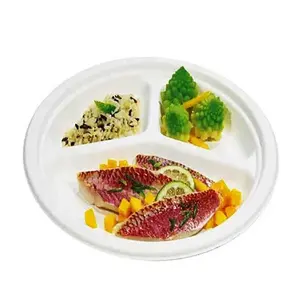 Buona qualità di vendita calda campione gratuito impermeabile e oleato Eco Friendly bagassa piatti per il pranzo