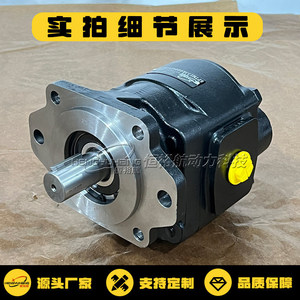 Moteur hydraulique de type engrenage Casappa Km40.133b0 34s8 Lof Of N Pompe rotative en fonte - Product Image 2