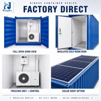 Chambre Froide Conteneurisée BINGHE Réglable -15°C -18°C, Stockage Frigorifique Modulaire 20GP 40GP, Classe Anti-incendie B1, Option Solaire pour Produits Congelés