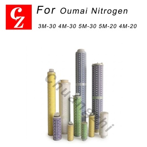 Elemento Filtrante de Precisión de Alta Calidad de Repuesto para Generador de Nitrógeno Oumai 3M-30 4M-30 5M-30 5M-20 4M-20 en Stock - Product Image 2