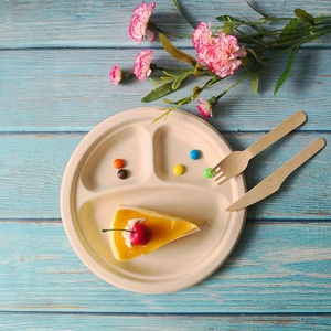 Assiettes jetables écologiques, biodégradables et compostables en bagasse de papier, 6, 7, 9, 10 pouces, 1 et 3 compartiments, pour fêtes et voyages - Product Image 2