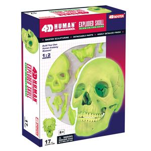 4D Master Glow-In-Dark Skull Anatomy Model Set Educational STEM Biology <b>Medical</b> <b>Science</b> Engineering PVC Plastic Toys - Product Image 4