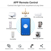 Prise murale intelligente double française en gros avec contrôle à distance Zigbee et mesure de la consommation d'énergie pour projets hôteliers et villas